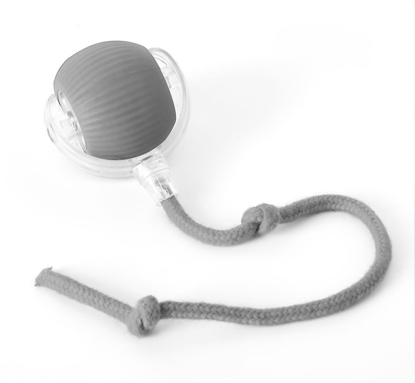 Rollio™ Pet Ball